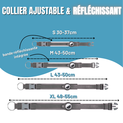 Collier GPS pour Chien