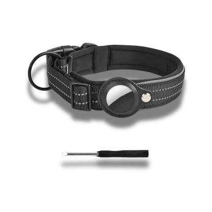 Collier GPS pour Chien