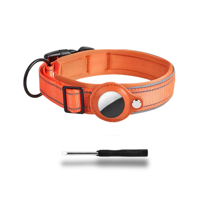 Collier GPS pour Chien