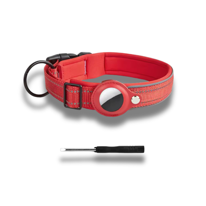 Collier GPS pour Chien